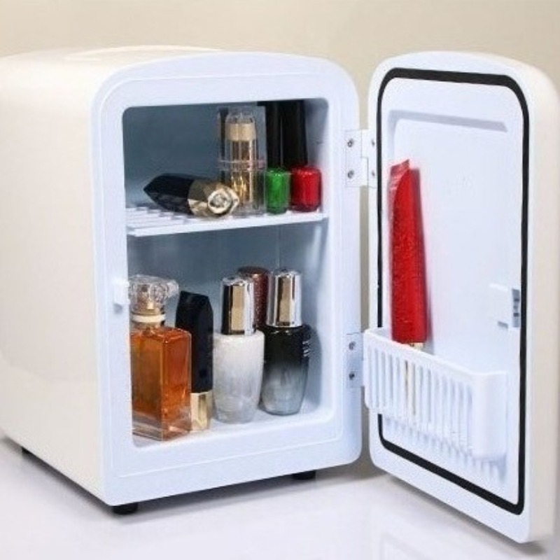Small Makeup Storage Refrigera - Luxury Skincare Fridge recension och pris